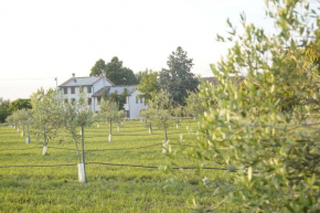 Casa di Alba - Alloggi turistici